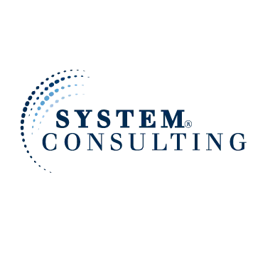 System consulting